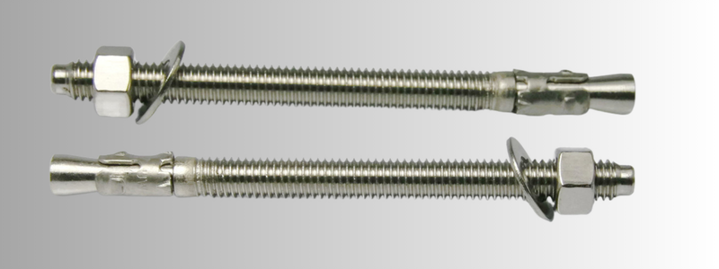Stainless Steel Wedge Anchor Fasteners Manufacturer in India